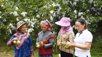 Vượt qua định kiến, vươn lên làm chủ mô hình kinh tế