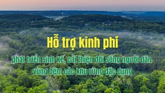 [Infographic] Hỗ trợ kinh phí phát triển sinh kế, cải thiện đời sống người dân vùng đệm các khu rừng đặc dụng