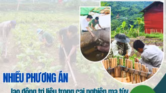 Nhiều phương án lao động trị liệu trong cai nghiện ma túy