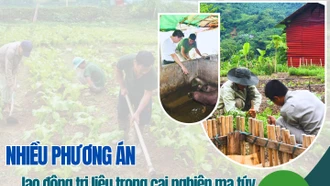 Nhiều phương án lao động trị liệu trong cai nghiện ma túy