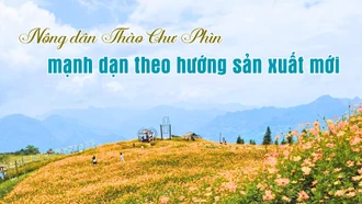 Nông dân Thào Chư Phìn mạnh dạn theo hướng sản xuất mới