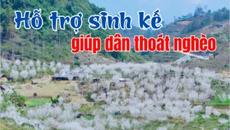 Hỗ trợ sinh kế giúp dân thoát nghèo