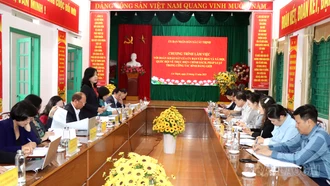 Quang cảnh buổi khảo sát