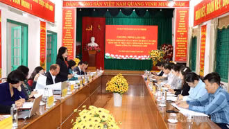 Quang cảnh buổi khảo sát