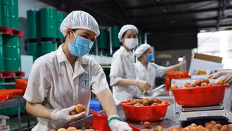 Nông sản Việt mở rộng thị phần trong nước