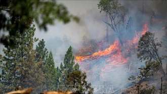 Mỹ: Cháy rừng lớn ở California bùng phát trở lại do thời tiết rất nóng và khô