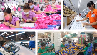 ADB: Kinh tế Việt Nam vẫn vững vàng giữa bất ổn của môi trường bên ngoài