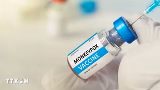 Vaccine ngừa bệnh đậu mùa khỉ đầu tiên được WHO sơ duyệt