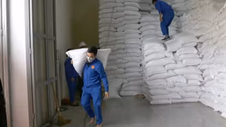 Chính phủ hỗ trợ 200 tấn gạo cho 14 địa phương bị ảnh hưởng cơn bão số 3