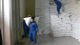Chính phủ hỗ trợ 200 tấn gạo cho 14 địa phương bị ảnh hưởng cơn bão số 3