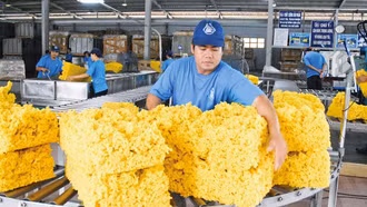 Việt Nam hướng đến vị thế trung tâm công nghiệp tiếp theo của châu Á