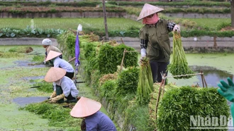 Việt Nam viết nên câu chuyện thành công ở châu Á về quá trình chuyển đổi kinh tế