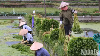 Việt Nam viết nên câu chuyện thành công ở châu Á về quá trình chuyển đổi kinh tế