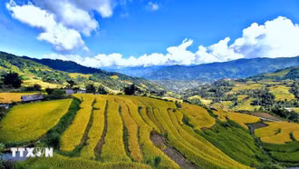 Khám phá Hà Giang qua miền di sản ruộng bậc thang Hoàng Su Phì