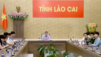 Lào Cai tham dự Phiên họp thứ Nhất năm 2026 của Ban Chỉ đạo An ninh mạng quốc gia