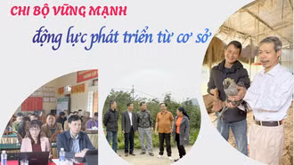 Chi bộ vững mạnh - động lực phát triển từ cơ sở