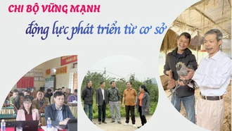 Chi bộ vững mạnh - động lực phát triển từ cơ sở