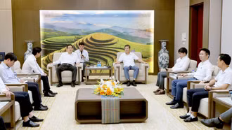 Phó Chủ tịch Thường trực UBND tỉnh Ngô Hạnh Phúc tiếp Đoàn công tác Tập đoàn Dược phẩm Nippon Zoki Nhật