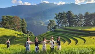 Đồng bộ giải pháp phát triển ngành kinh tế mũi nhọn 