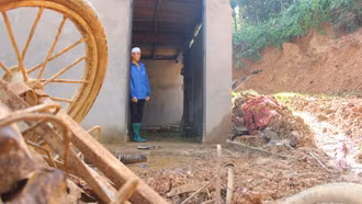 Nước mắt hai người phụ nữ