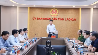 Lào Cai tham dự cuộc họp triển khai công tác ứng phó với bão Matmo