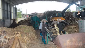 Phúc Lợi trên hành trình trở thành xã phát triển lâm nghiệp của tỉnh