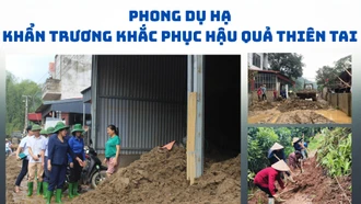 Phong Dụ Hạ khẩn trương khắc phục hậu quả thiên tai