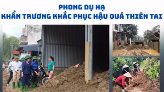 Phong Dụ Hạ khẩn trương khắc phục hậu quả thiên tai
