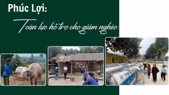 Phúc Lợi toàn lực hỗ trợ cho giảm nghèo