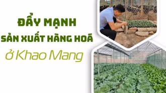Đẩy mạnh sản xuất hàng hoá ở Khao Mang