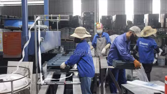 Xanh hoá sản xuất, nâng tầm thương hiệu Lào Cai