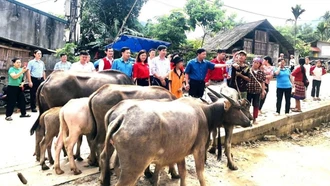 Toàn tỉnh có 913 địa chỉ nhân đạo