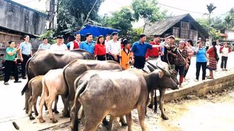 Toàn tỉnh có 913 địa chỉ nhân đạo