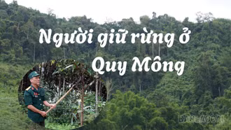 Người giữ rừng ở Quy Mông 