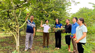 Công tác giảm nghèo ở Bảo Thắng 