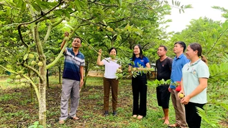 Công tác giảm nghèo ở Bảo Thắng 