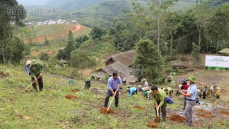 Chuyển 6,3 tỷ đồng cho các địa phương khắc phục hậu quả thiên tai