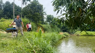 Những "hạt nhân" lan tỏa phong trào sản xuất, kinh doanh giỏi ở Mậu A