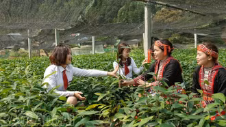 Dự án 8 góp phần nâng cao vai trò phụ nữ trong xây dựng đời sống văn hóa ở cơ sở