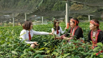 Dự án 8 góp phần nâng cao vai trò phụ nữ trong xây dựng đời sống văn hóa ở cơ sở