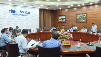 UBND tỉnh làm việc với Đoàn công tác ADB đánh giá Dự án GMS 2 - Tiểu dự án đô thị Sa Pa 