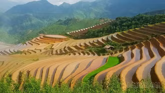 Từ ruộng bậc thang đến giấc mơ du lịch xanh