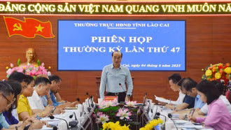 Chuẩn bị tổ chức tốt các kỳ họp HĐND tỉnh