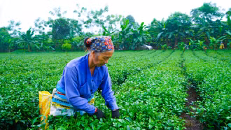 Đồng bào các dân tộc tỉnh Lào Cai thi đua xây dựng cuộc sống ấm no 