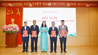 Chuyển giao 16 tổ chức cơ sở đảng về trực thuộc đảng bộ các phường