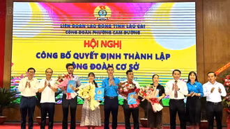Thành lập mới 138 công đoàn cơ sở