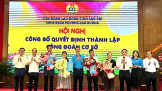 Thành lập mới 138 công đoàn cơ sở
