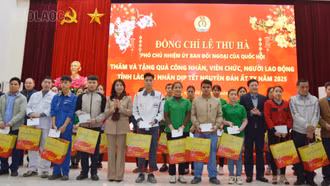 Phó Chủ nhiệm Ủy ban Đối ngoại của Quốc hội thăm và tặng quà tết công nhân, viên chức, người lao động