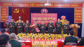 17/17 chi, đảng bộ trực thuộc Đảng bộ Bộ đội Biên phòng tỉnh hoàn thành tổ chức đại hội