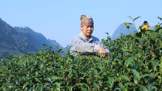 Xã Phong Hải: Truyền thông bình đẳng giới góp phần chăm sóc, bảo vệ phụ nữ, trẻ em 